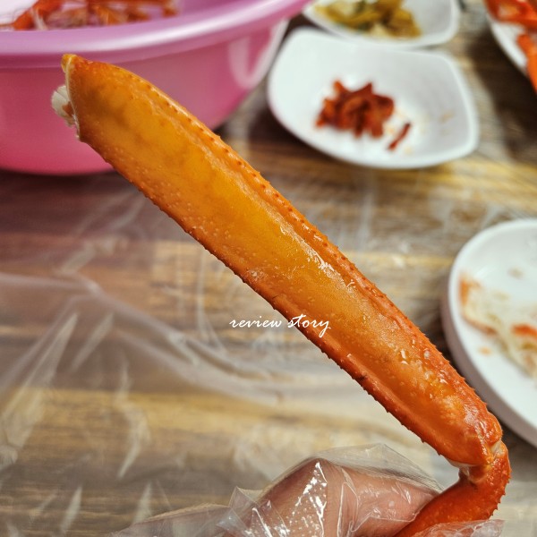 속초대게맛집