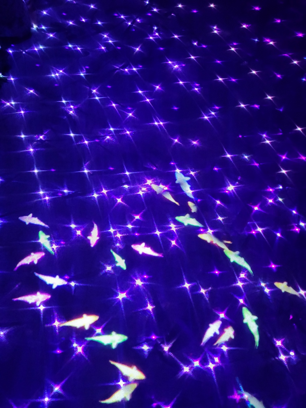 제주도 아이와 가볼만한곳 ( 노형슈퍼마켙 )