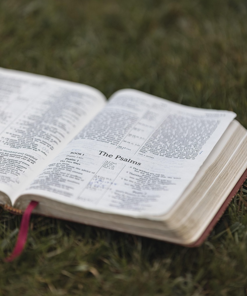 하루의 질서를 바꾸는 가장 확실한 루틴