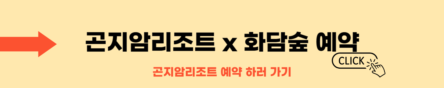 2025 화담숲 수선화 축제 일정·예매·주차 총정리!