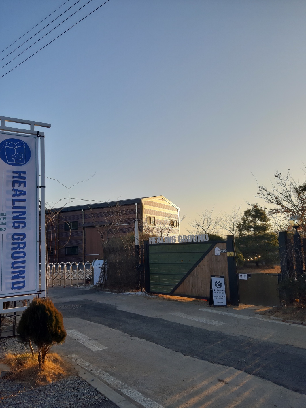 힐링그라운드 반려견 동반 카페