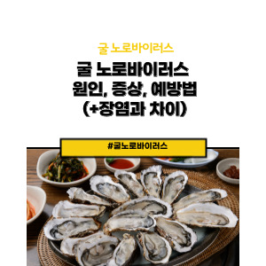 굴 노로바이러스