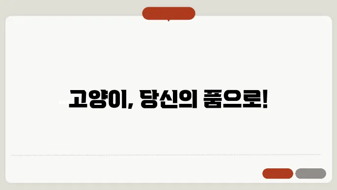 고양이 잡는 방법