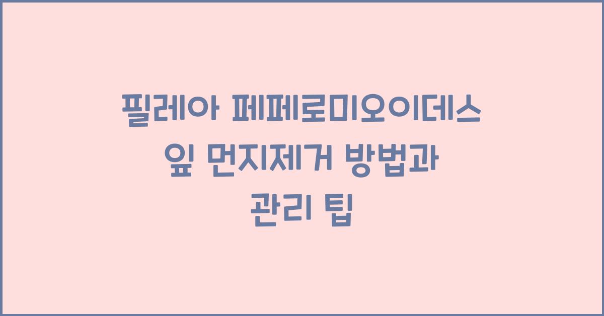 필레아 페페로미오이데스 잎 먼지제거