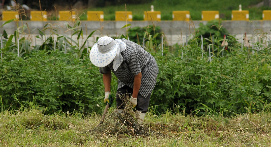 “단 한 번 물렸을 뿐인데…” 사망까지 이어질 수 있는 진드기 매개 감염병