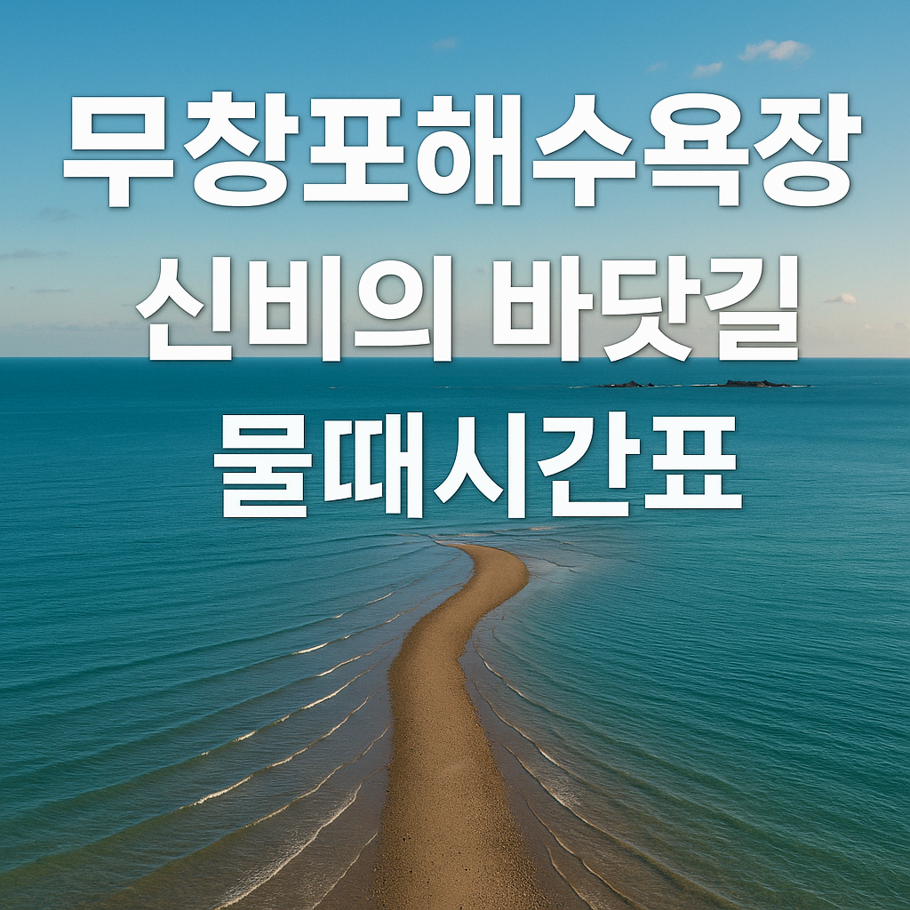 무창포 해수욕장 완벽 가이드/ 신비의 바닷길, 6월 물때시간표, 무창포 낙조5경 알아보기