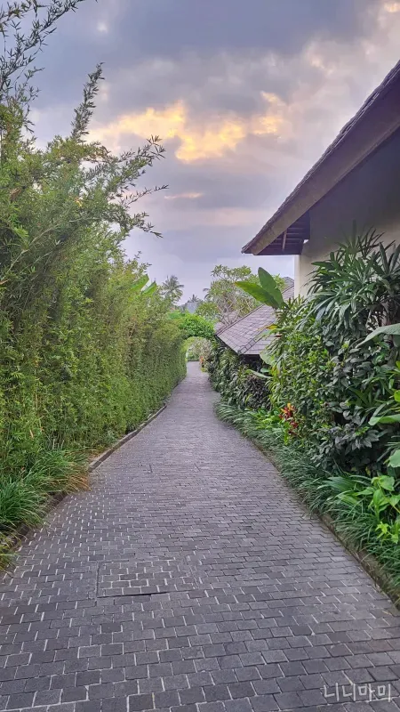 발리-럭셔리스파-카트타고이동