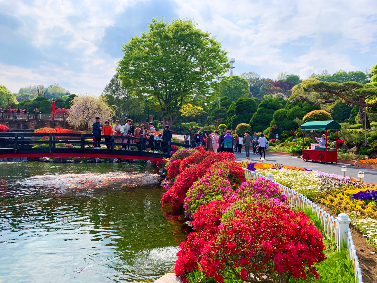 세종 베어트리파크, 사계절 힐링이 있는 가족형 테마파크