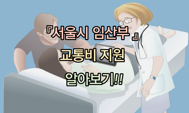 서울시 임산부 교통비지원 70만원 이미지