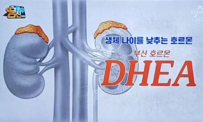 DHEA