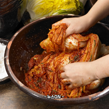 김장김치 양념 황금레시피