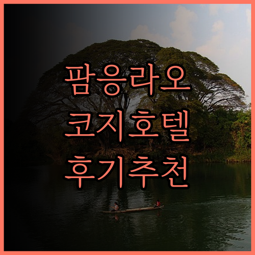 사이공 코지 호텔 팜 응우 라오, 완