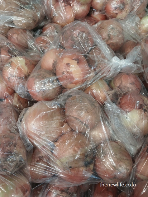 비닐 포장된 국내산 양파, 신선도 유지와 콜레스테롤 수치 관리에 도움을 주는 양파 효능