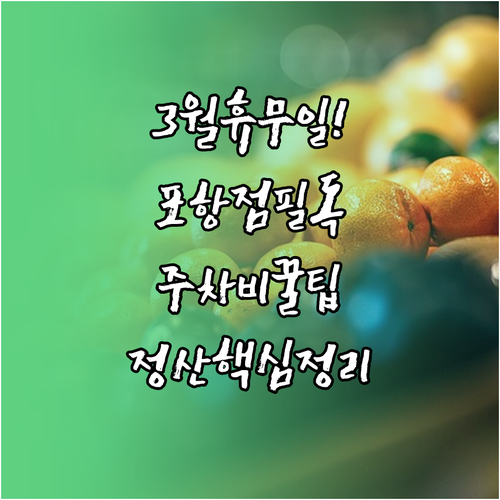 홈플러스 포항점 3월 영업 일정 및 ..