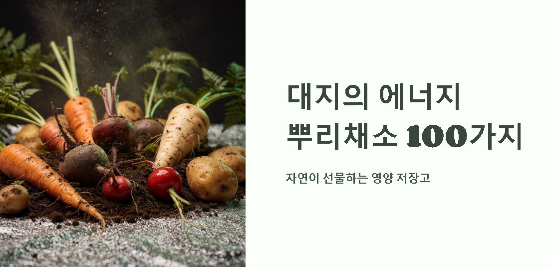 뿌리채소 종류 100가지