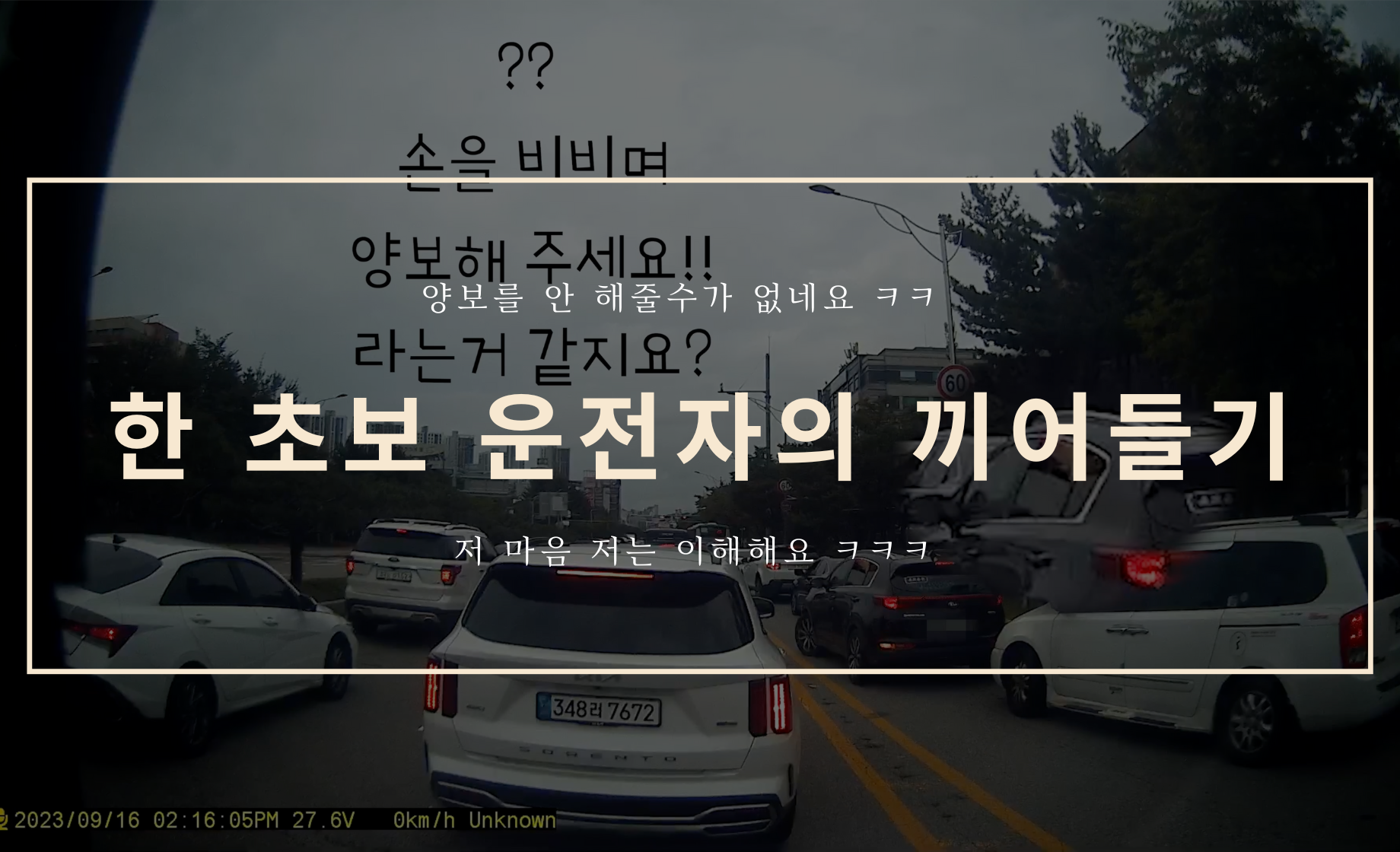 한 초보 운전자의 끼어들기...