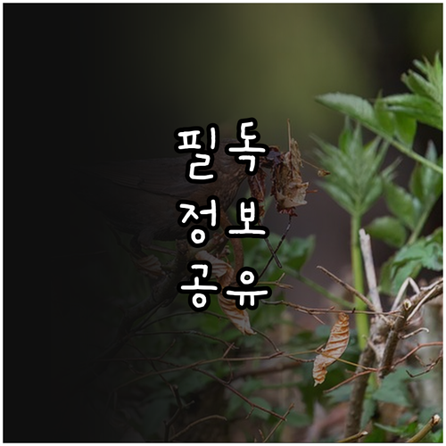 2025년 외식업 식재료 공동구매 지..