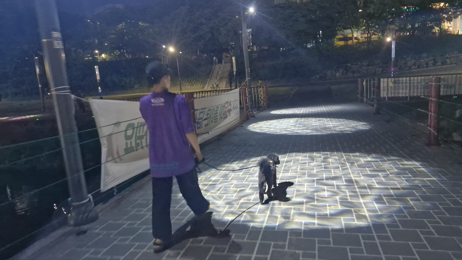 강아지 영양제 대신 화식으로 대처 법