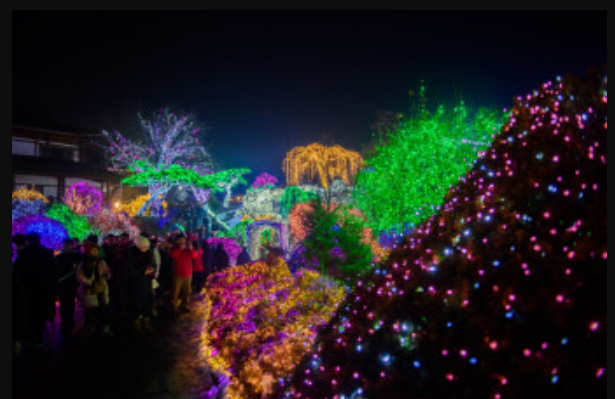 오색별빛정원전 야경