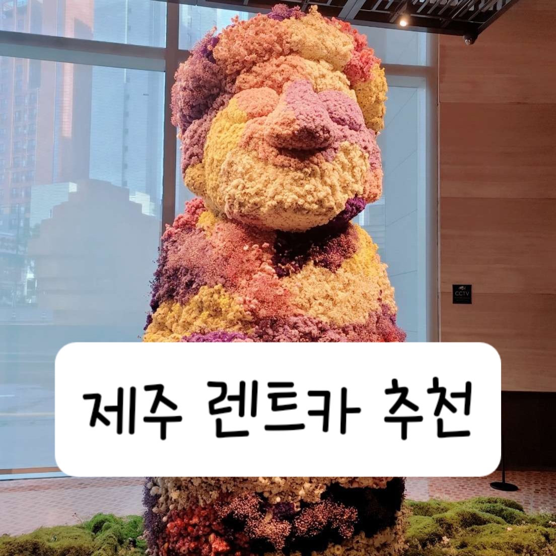 제주 렌트카 추천