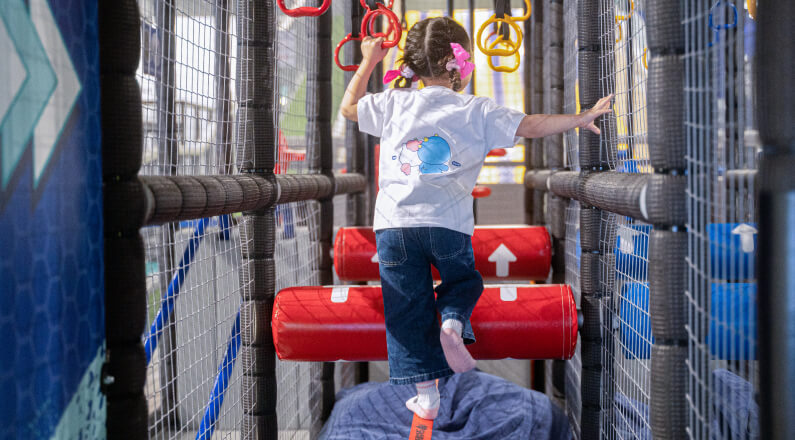 챔피언 더 블랙벨트