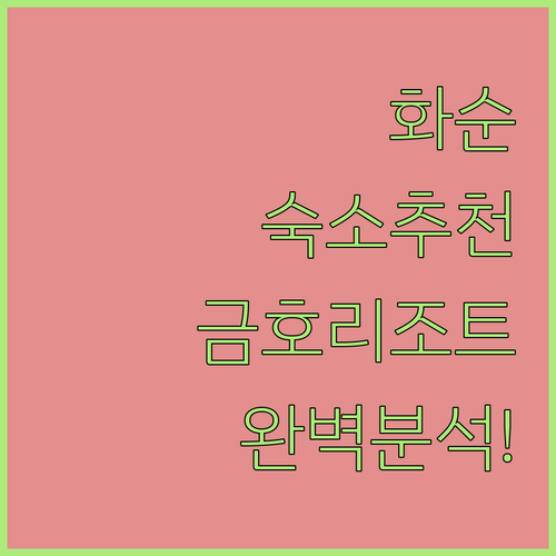 화순 숙소 추천 금호 리조트 포함 베..