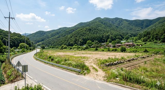 전원주택 부지 선택 시 도로와 입지를 확인하는 모습