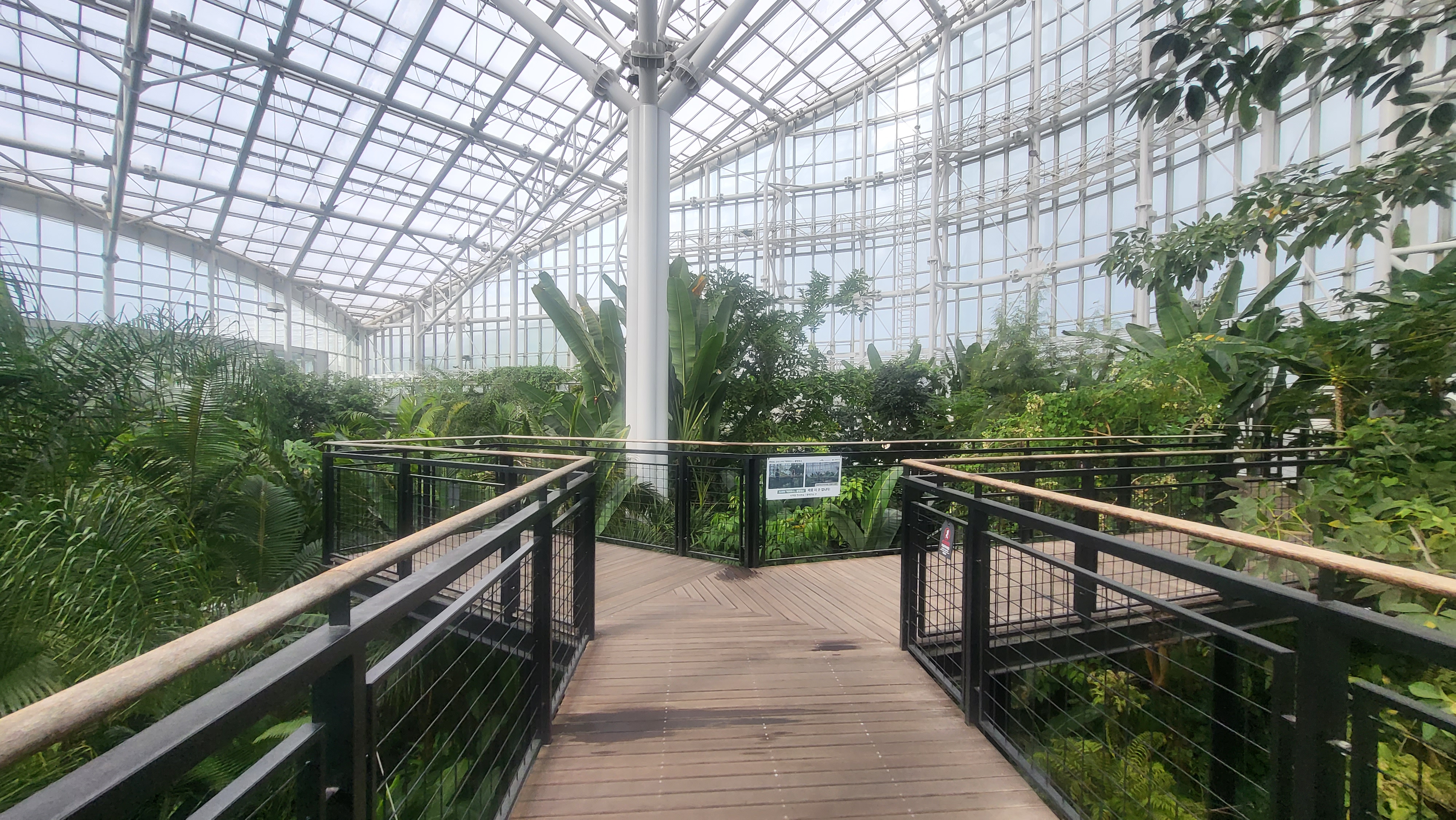 국립세종 식물원 빅마우스 촬영지