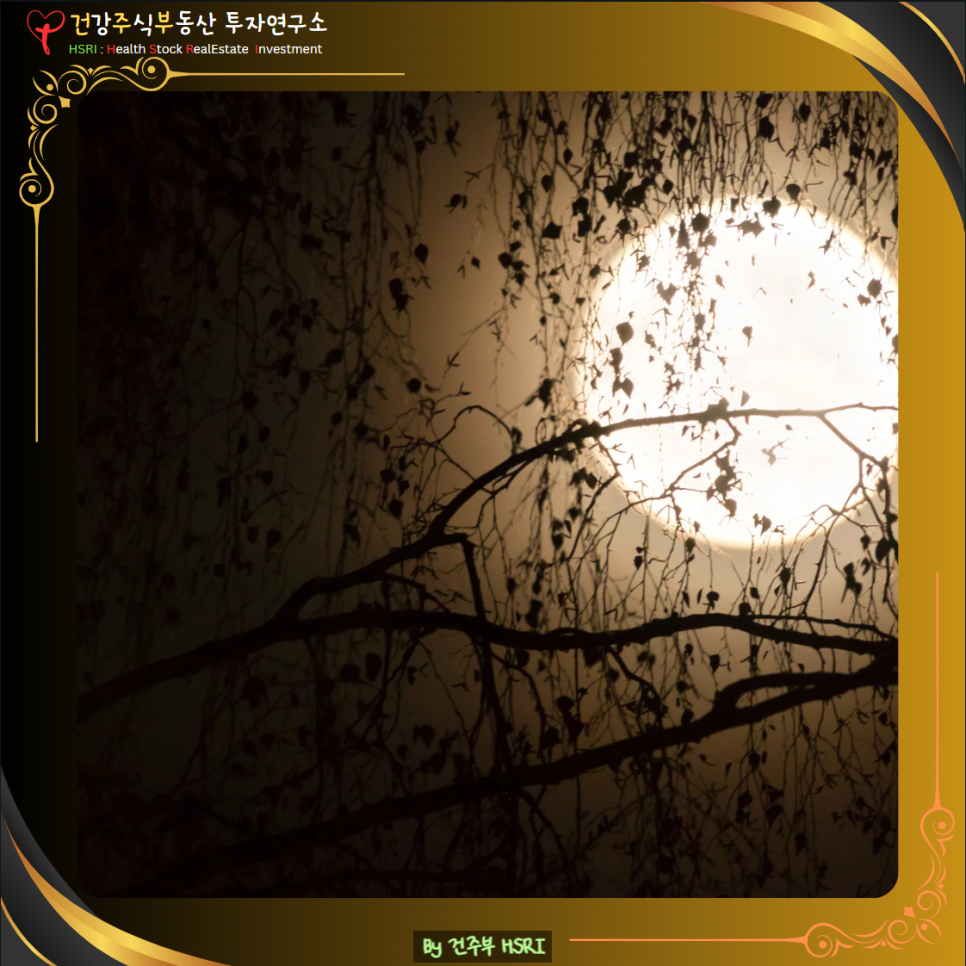 골로새서 2장 그리스도 안에 있는 충만함
(글 그림 : 건주부, 그림 출처 : Canva)
