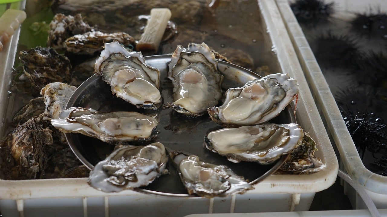 겨울철 굴을 먹는 이유와 유의할 점, 굴 요리 추천