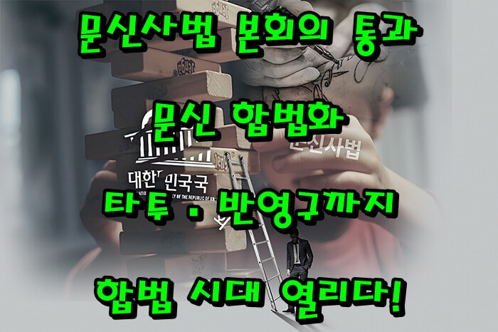 문신사법 본회의 통과|문신 합법화·타투·반영구까지 합법 시대 열리다