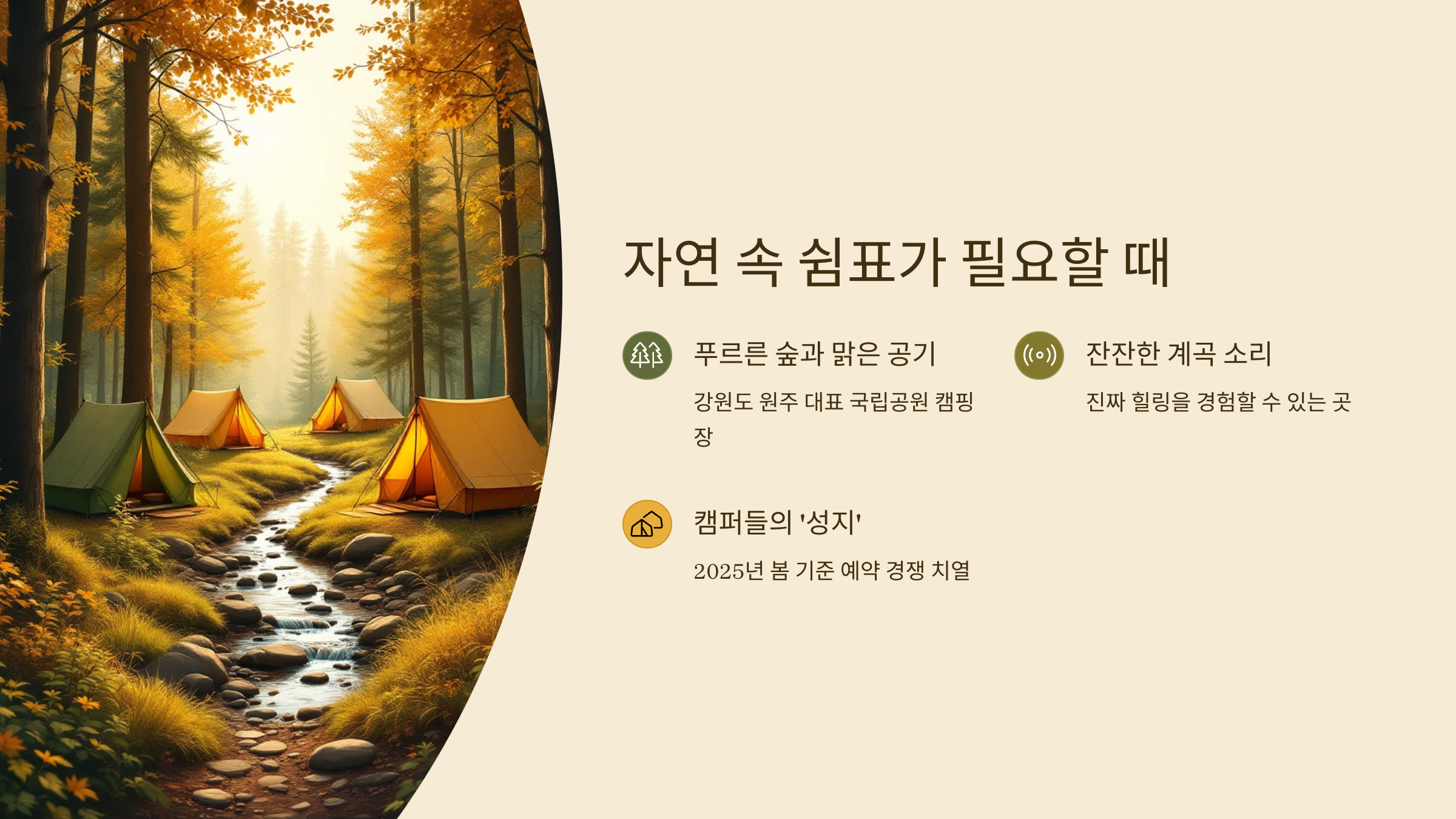 🌲치악산 구룡 야영장, 자연 속 힐링 최고의 캠핑 명소!