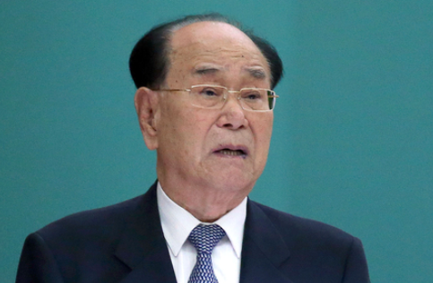김영남 사망