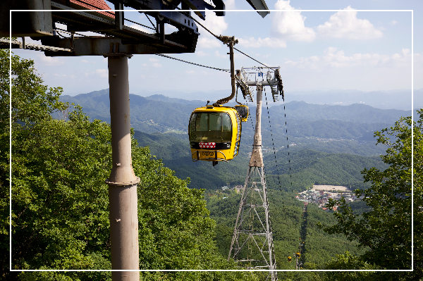 대구 팔공산 케이블카 이미지 / 출처: 대한민국 구석구석