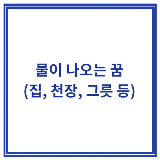 물이-새는-꿈