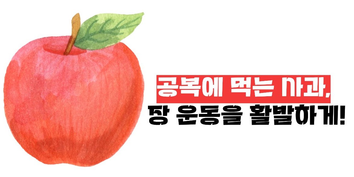 아침 사과 효능