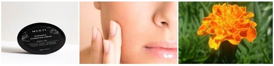 메리골드 효능-항염과 항균 효과