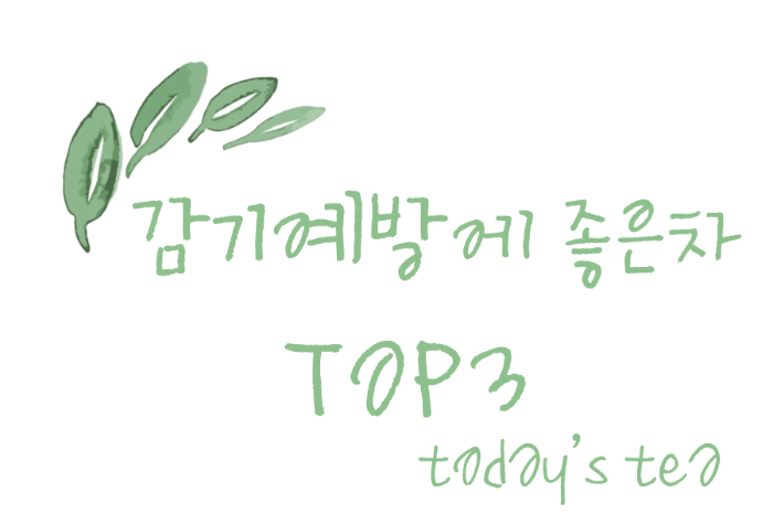 감기 예방에 좋은 건강차 3가지