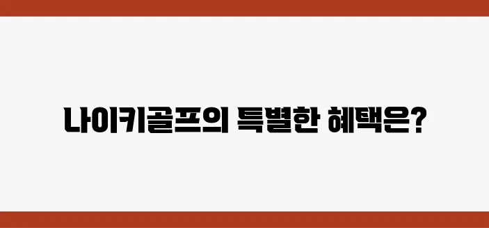 직구로 즐기는 나이키골프, 아름다운 골프복과 특별한 할인 혜택을 안내합니다!