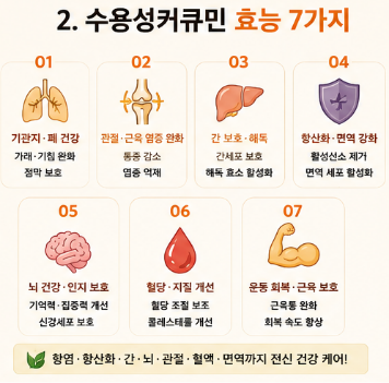 수용성커큐민-효능-부작용-복용시간-복용법-영양제