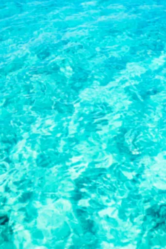 2025 삼성전자 세일 페스타(삼세페)&amp;#44; 기간&amp;#44; 할인&amp;#44; 품목 총정리