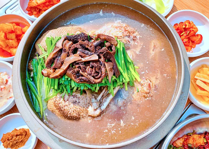OBS 어서옵쇼 강남구청, 선릉 보양 가득 해천탕 맛집