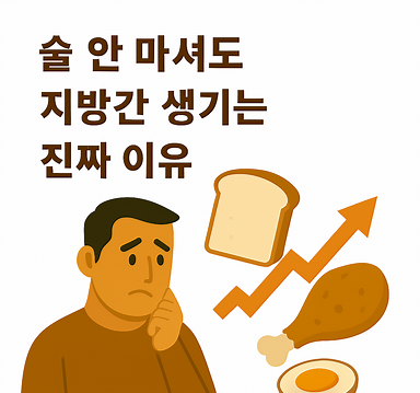 술 안 마셔도 지방간 생기는 진짜 이유
