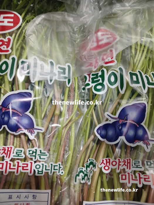 미나리 효능 요리법 캄펜 성분