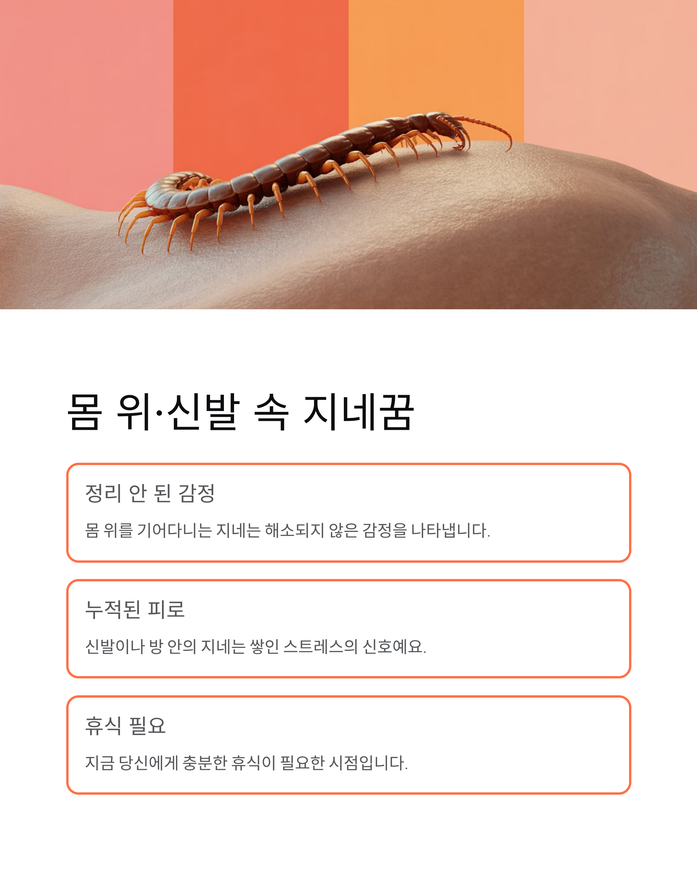 지네꿈 해몽 재물운부터 경고까지 한 번에 정리