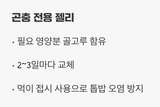 최고의 만찬&amp;#44; 달콤한 곤충 젤리