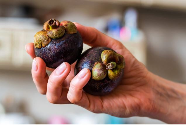 가르시니아-캄보지이-효능