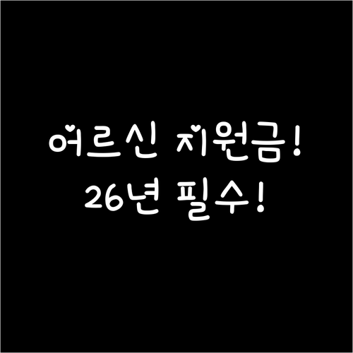 어르신 건강지원금 2026년 의료비부..