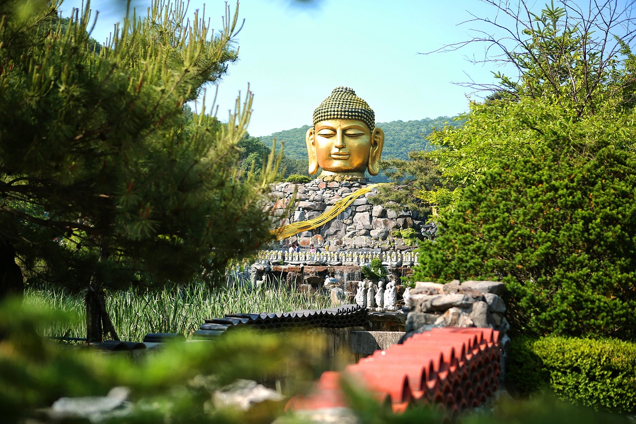 무더위 날릴 용인 피서지 관련 사진