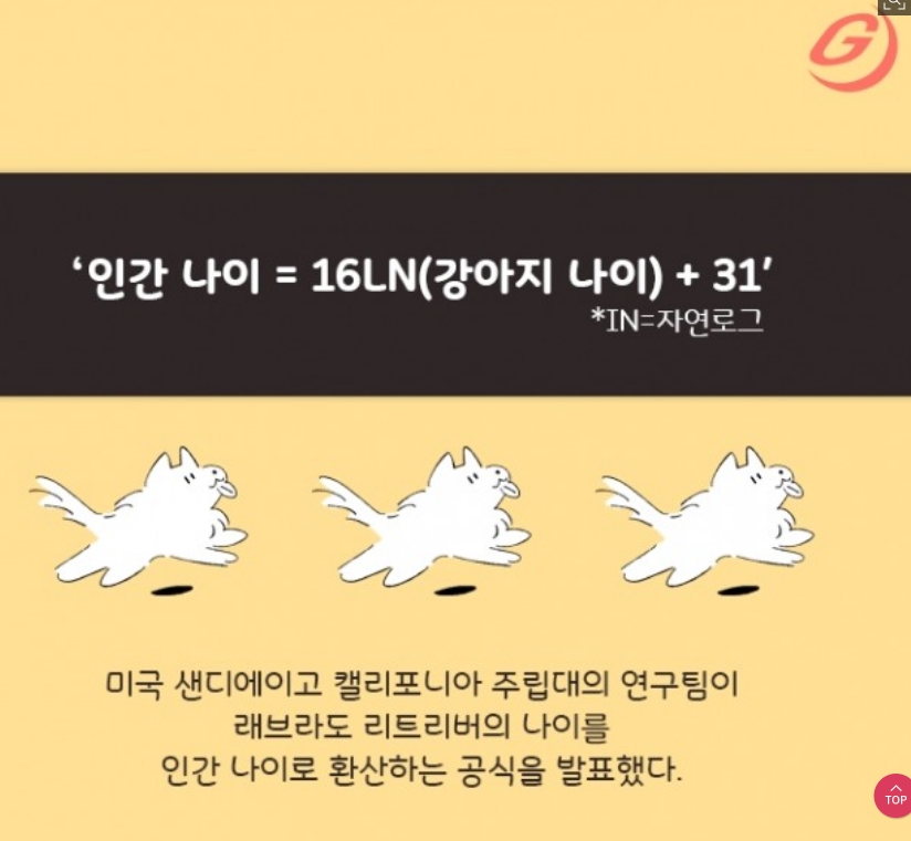 강아지 나이 계산 공식